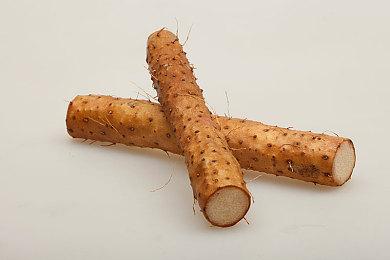 东京电玩展2025开启商务登记 索尼互娱CEO确定参展演讲